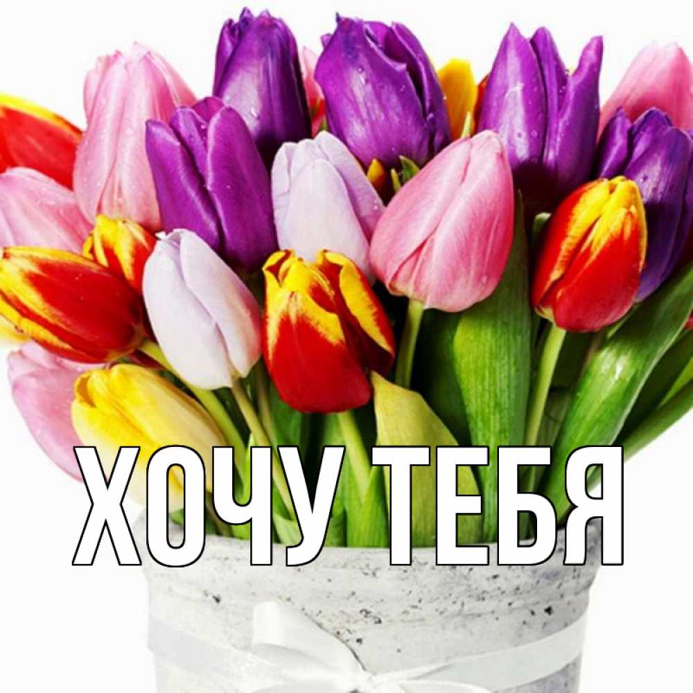 Открытка на каждый день с именем, Хочу-тебя Главная букет Прикольная открытка с пожеланием онлайн скачать бесплатно 