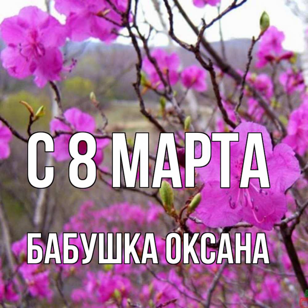 Открытка на каждый день с именем, Бабушка-Оксана С 8 МАРТА международный женский день Прикольная открытка с пожеланием онлайн скачать бесплатно 