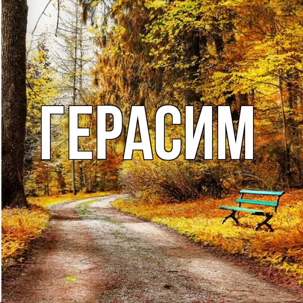 Открытка на каждый день с именем, Герасим Главная зеленая лавочка Прикольная открытка с пожеланием онлайн скачать бесплатно 