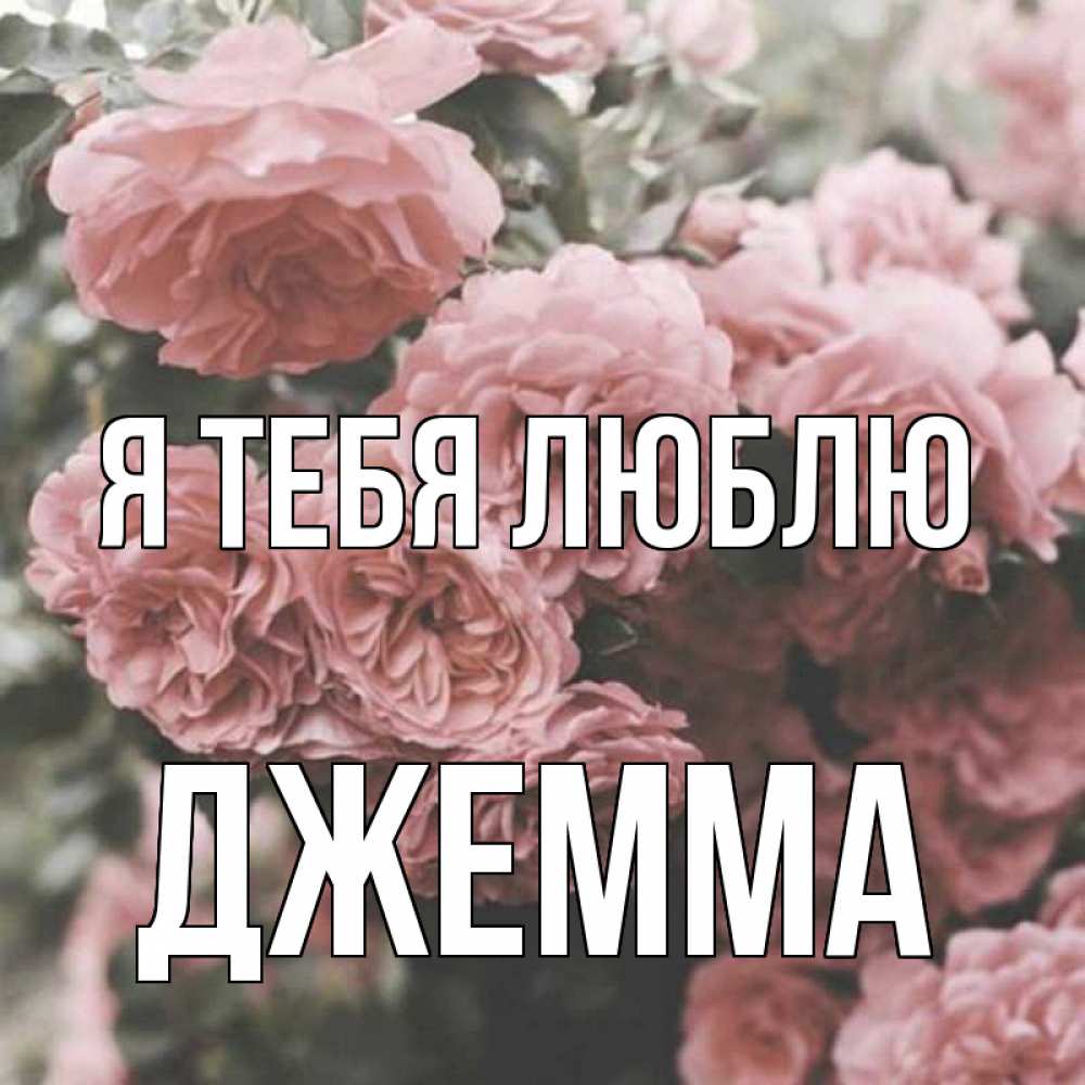 Открытка на каждый день с именем, Джемма Я тебя люблю розы 3 Прикольная открытка с пожеланием онлайн скачать бесплатно 