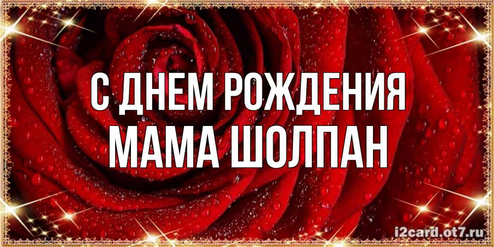 Открытка на каждый день с именем, Мама-Шолпан С днем рождения роса на розе блестящая в лучах солнца Прикольная открытка с пожеланием онлайн скачать бесплатно 