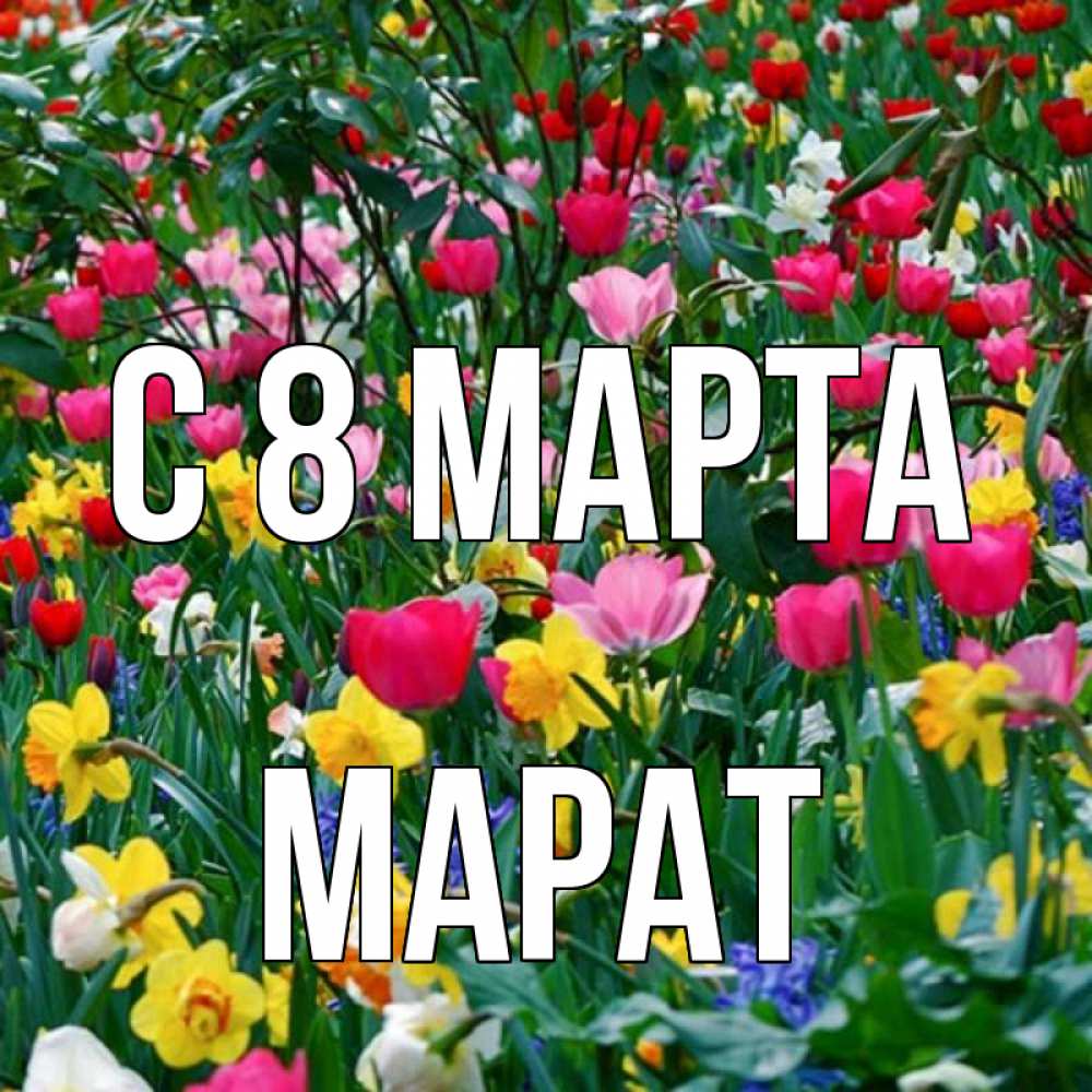 Открытка на каждый день с именем, Марат С 8 МАРТА с международным женским днем поздравления для женщины Прикольная открытка с пожеланием онлайн скачать бесплатно 