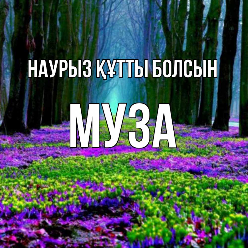 Открытка на каждый день с именем, Муза Наурыз құтты болсын фиолетовые цветы в лесу 1 Прикольная открытка с пожеланием онлайн скачать бесплатно 