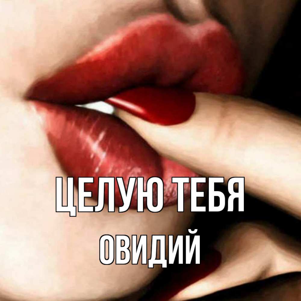 Открытка на каждый день с именем, Овидий Целую тебя открытка целую тебя для парня Прикольная открытка с пожеланием онлайн скачать бесплатно 