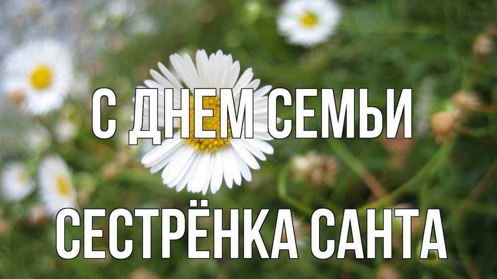 Открытка на каждый день с именем, Сестрёнка-Санта С днем семьи с днем семьи Прикольная открытка с пожеланием онлайн скачать бесплатно 