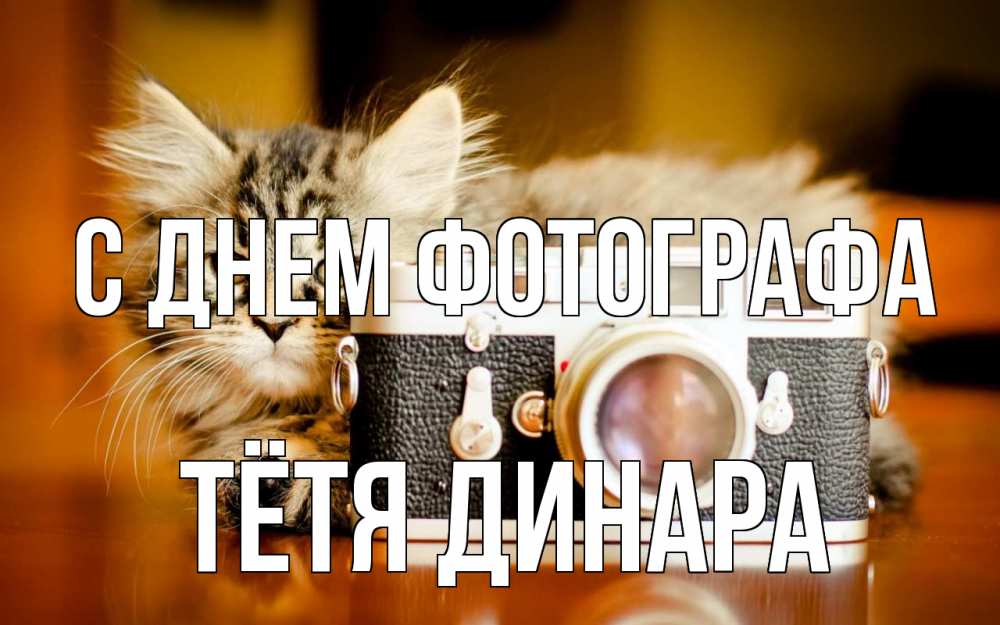 Открытка на каждый день с именем, Тётя-Динара С днем фотографа с днем фотографа Прикольная открытка с пожеланием онлайн скачать бесплатно 