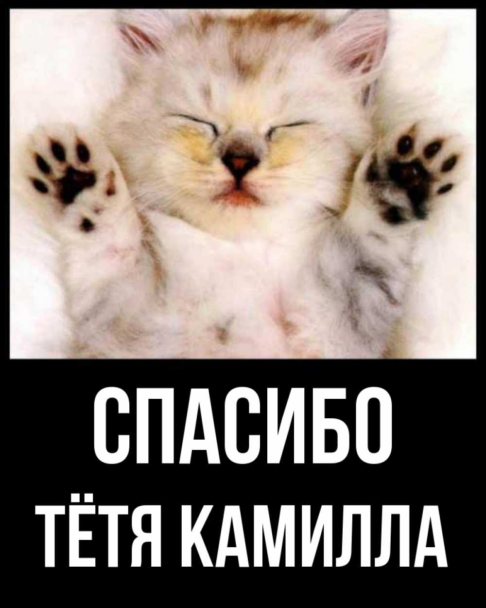 Открытка на каждый день с именем, Тётя-Камилла Спасибо маленький котенок Прикольная открытка с пожеланием онлайн скачать бесплатно 