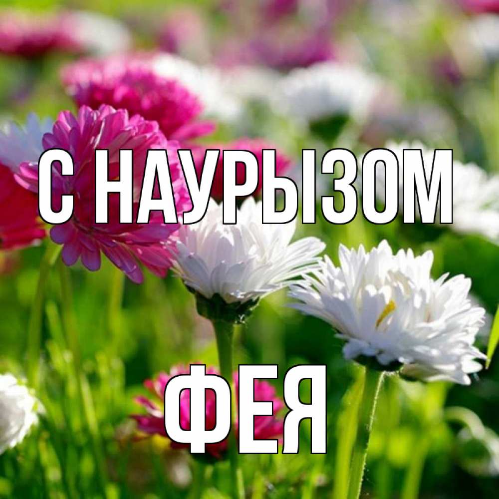 Открытка на каждый день с именем, Фея С наурызом праздник весны наурыз красота Прикольная открытка с пожеланием онлайн скачать бесплатно 