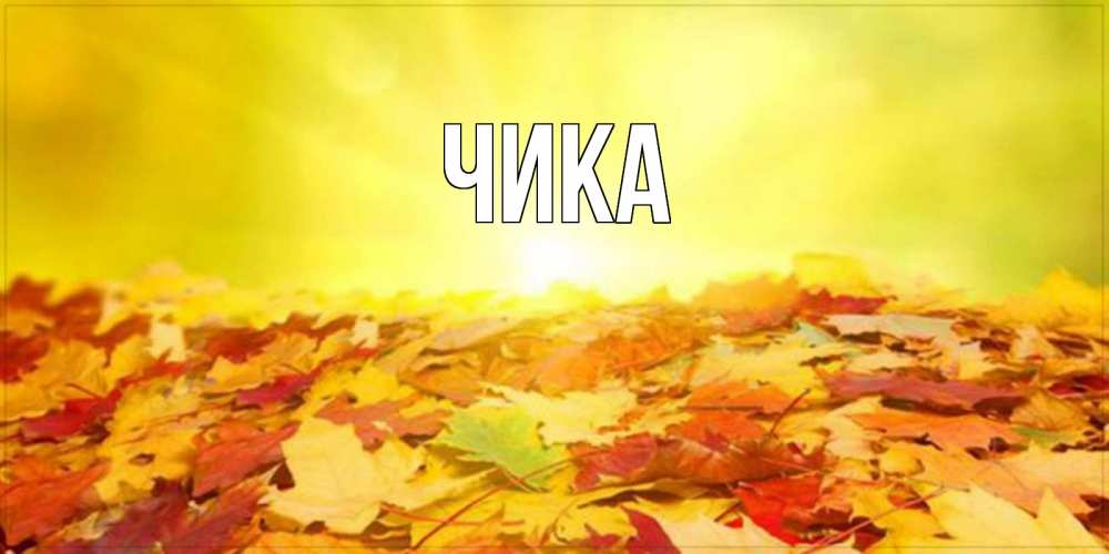 Открытка на каждый день с именем, Чика Главная пожелания удачного дня Прикольная открытка с пожеланием онлайн скачать бесплатно 