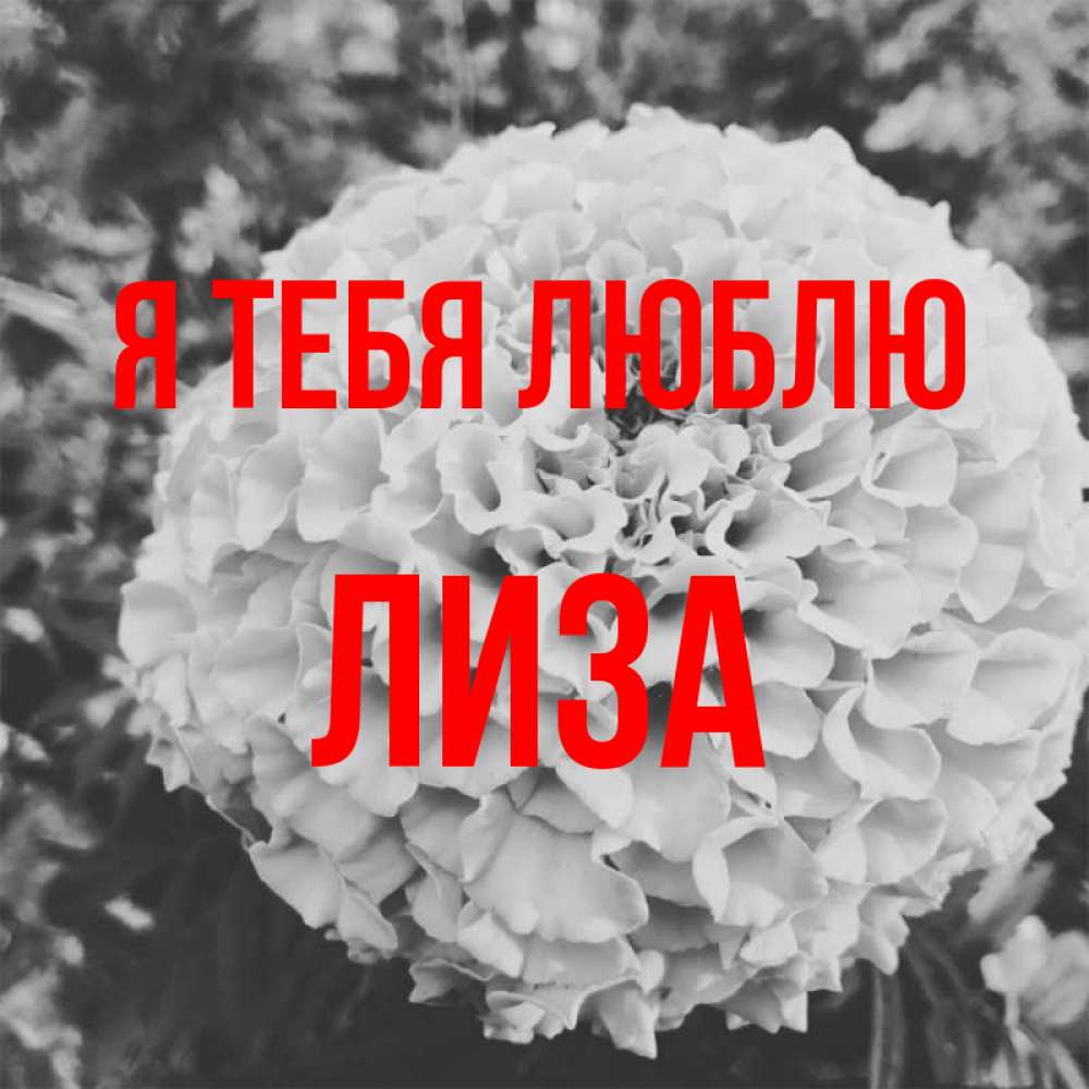 Открытка на каждый день с именем, лиза Я тебя люблю подпись Прикольная открытка с пожеланием онлайн скачать бесплатно 