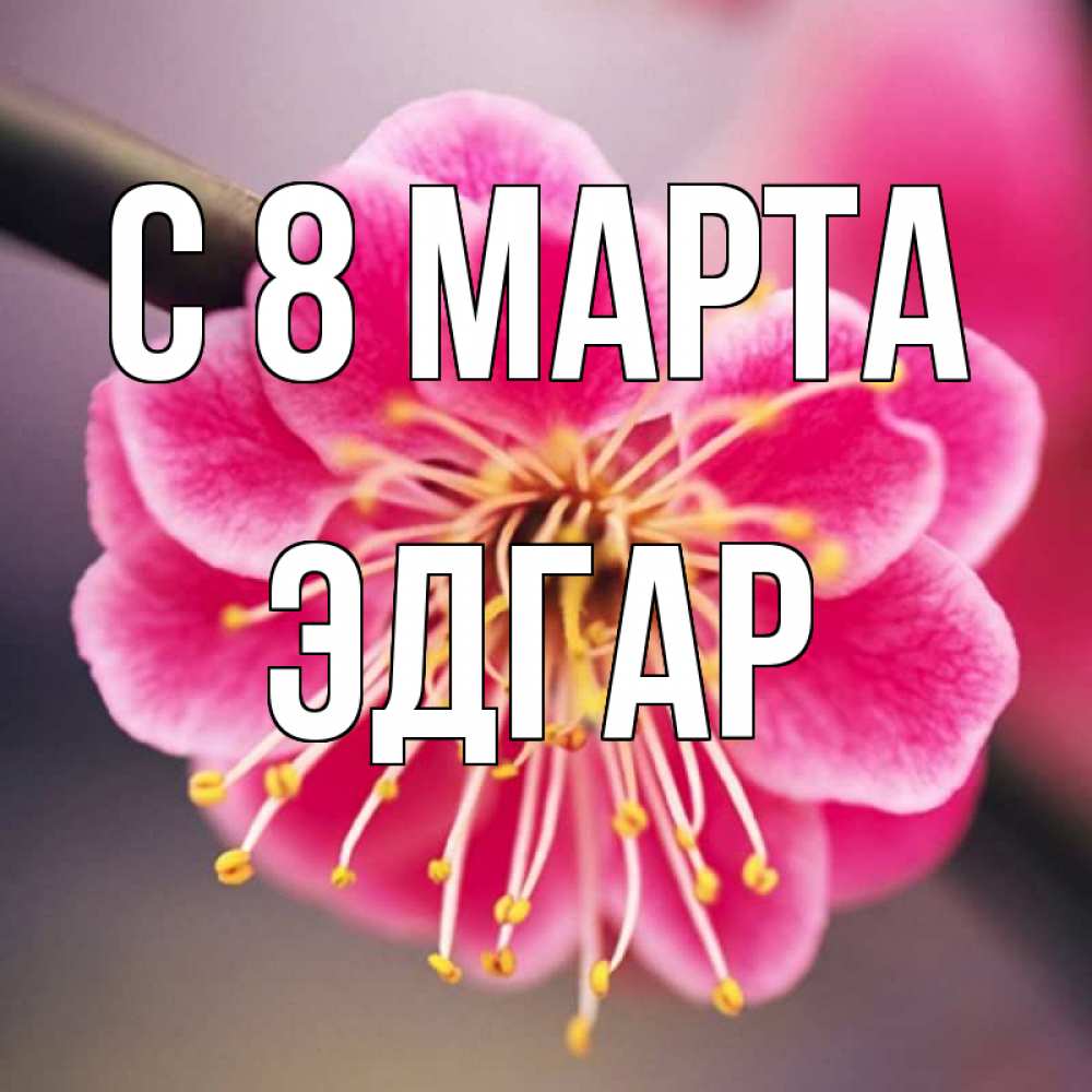 Открытка на каждый день с именем, Эдгар С 8 марта цветы Прикольная открытка с пожеланием онлайн скачать бесплатно 