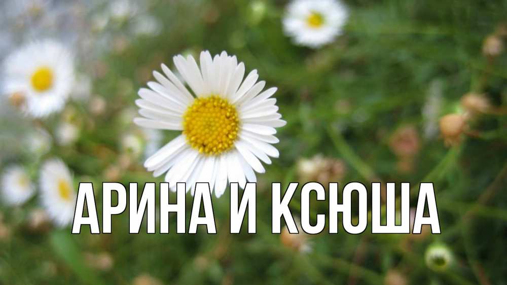 Открытка на каждый день с именем, Арина-и-Ксюша Главная с днем семьи Прикольная открытка с пожеланием онлайн скачать бесплатно 