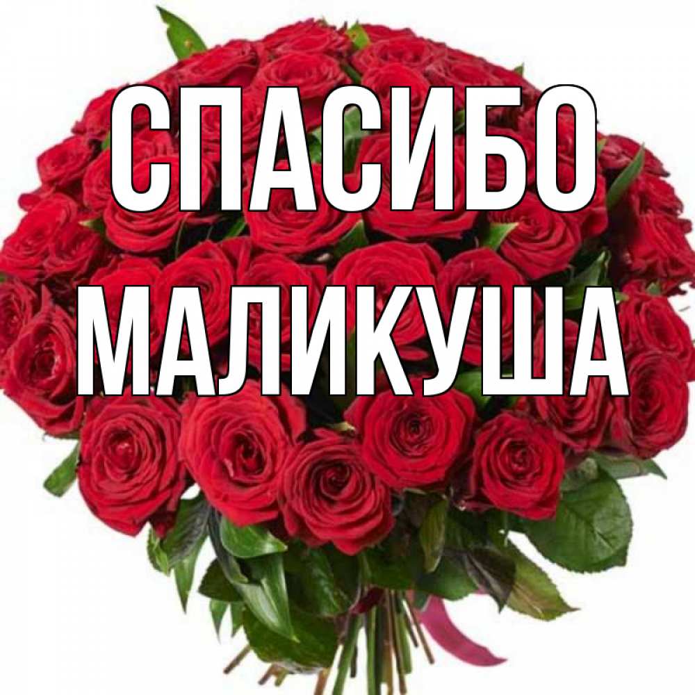 Спасибо олечка картинка