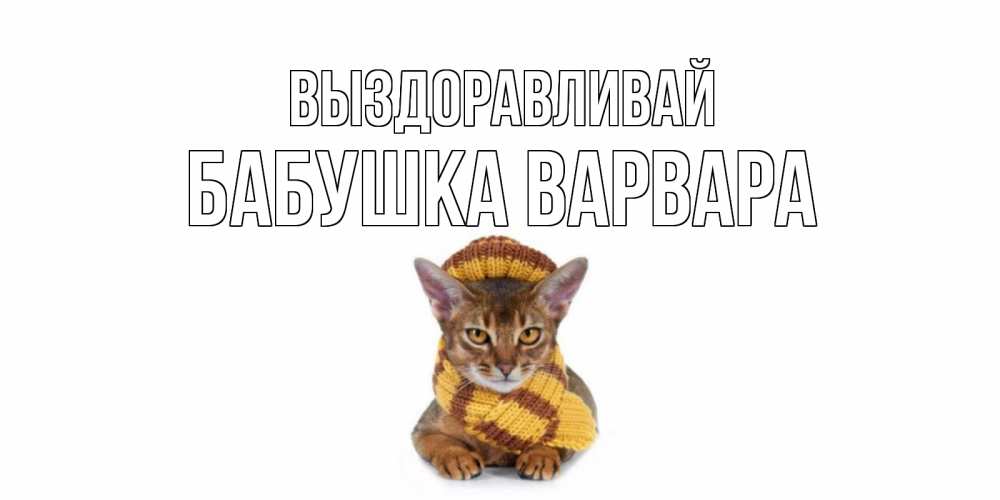 Открытка на каждый день с именем, Бабушка-Варвара Выздоравливай родные не болейте Прикольная открытка с пожеланием онлайн скачать бесплатно 