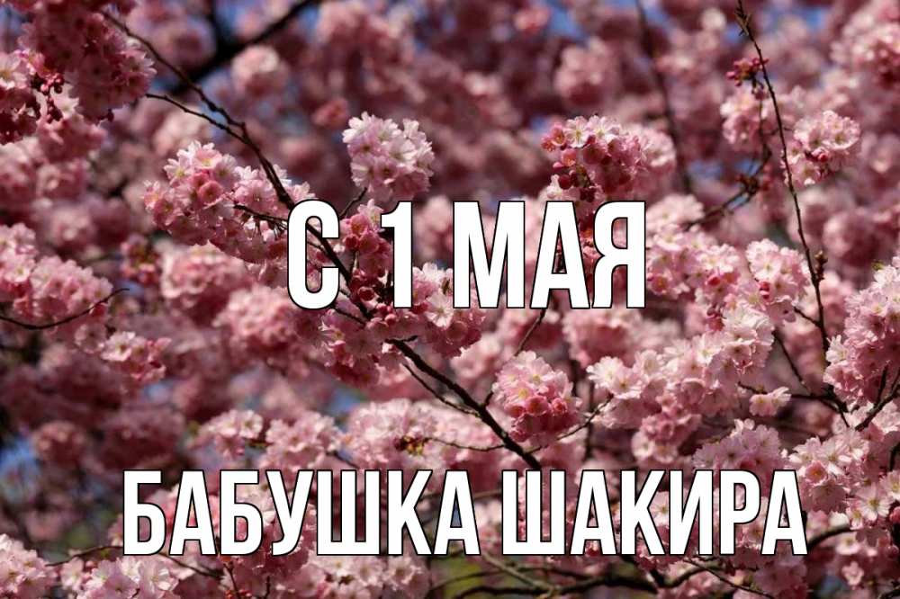 Открытка на каждый день с именем, Бабушка-Шакира С 1 мая С 1 мая Прикольная открытка с пожеланием онлайн скачать бесплатно 
