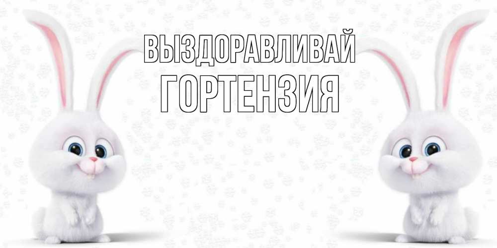 Открытка на каждый день с именем, Гортензия Выздоравливай не болей с зайцем Прикольная открытка с пожеланием онлайн скачать бесплатно 
