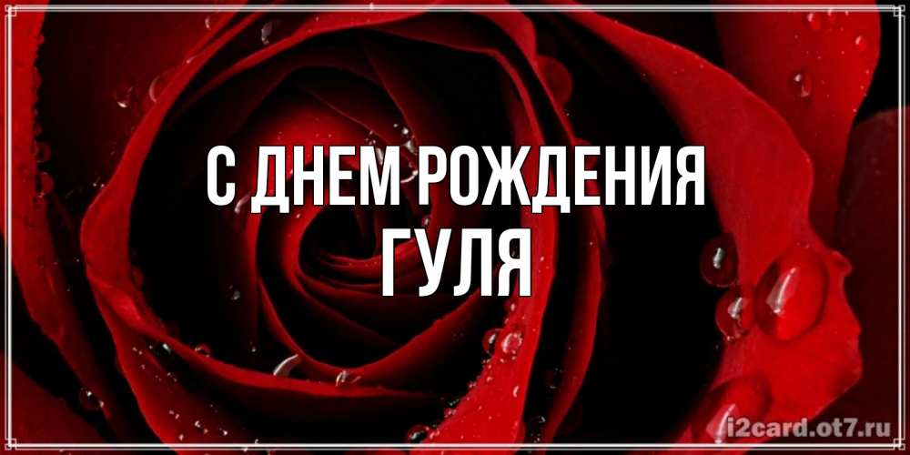 Открытка на каждый день с именем, Гуля С днем рождения крупная бордовая роза Прикольная открытка с пожеланием онлайн скачать бесплатно 