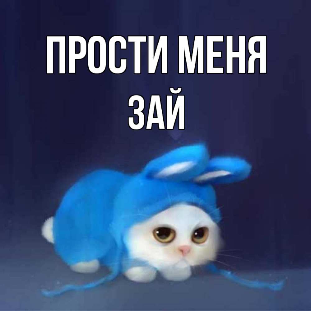 Открытка на каждый день с именем, Зай-прости-меня Прости меня невинный котозай просит прощения Прикольная открытка с пожеланием онлайн скачать бесплатно 