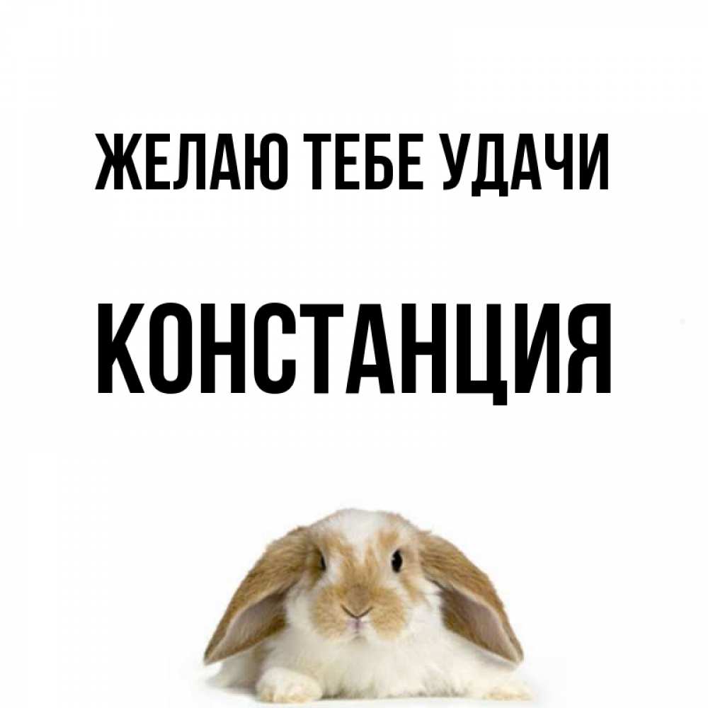 Открытка на каждый день с именем, Констанция Желаю тебе удачи открытки с произвольным текстом который можно вставить в открытку и создать ее самостоятельно бесплатно онлайн Прикольная открытка с пожеланием онлайн скачать бесплатно 