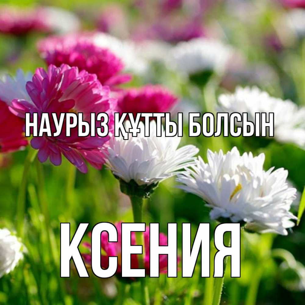 Открытка на каждый день с именем, Ксения Наурыз құтты болсын наурыз Прикольная открытка с пожеланием онлайн скачать бесплатно 