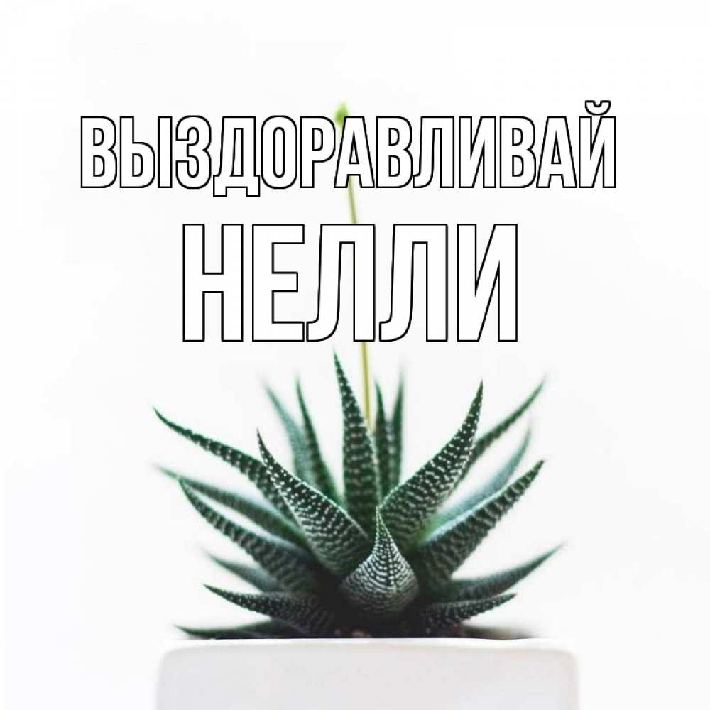 Открытка на каждый день с именем, Нелли Выздоравливай короче это непонятная колючка Прикольная открытка с пожеланием онлайн скачать бесплатно 