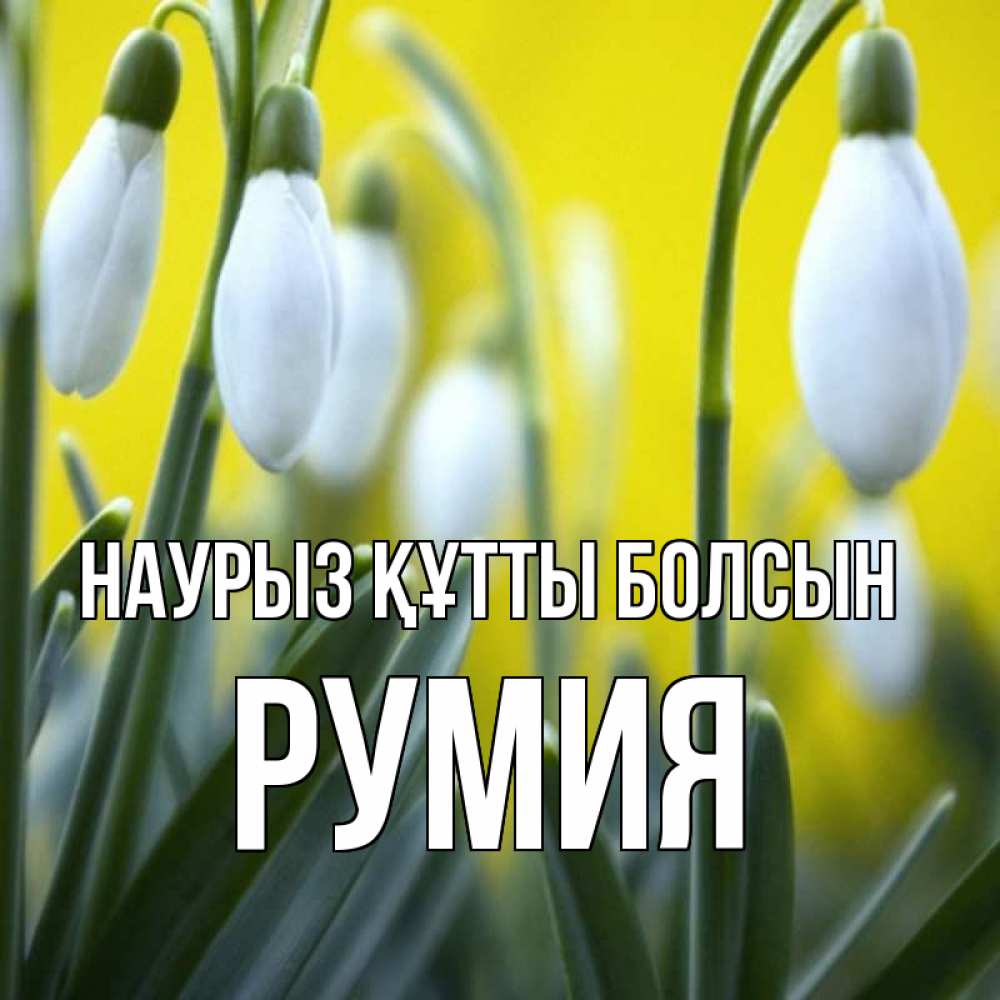Открытка на каждый день с именем, Румия Наурыз құтты болсын весенние цветы Прикольная открытка с пожеланием онлайн скачать бесплатно 