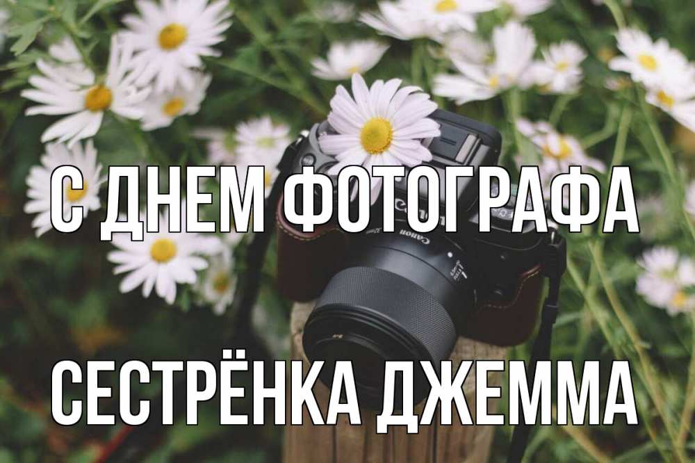Открытка на каждый день с именем, Сестрёнка-Джемма С днем фотографа с днем фотографа Прикольная открытка с пожеланием онлайн скачать бесплатно 