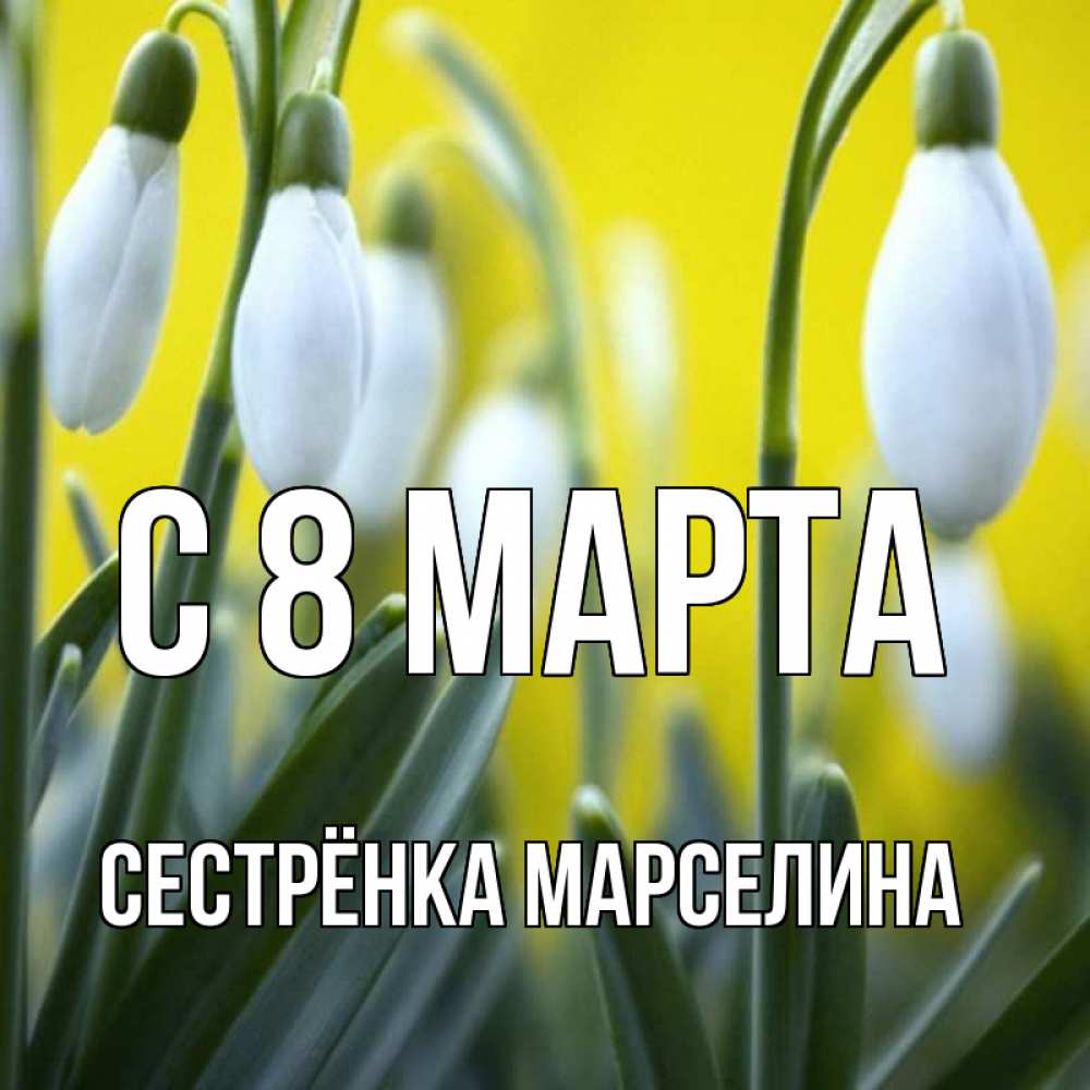 Открытка на каждый день с именем, Сестрёнка-Марселина С 8 МАРТА весенние цветы Прикольная открытка с пожеланием онлайн скачать бесплатно 