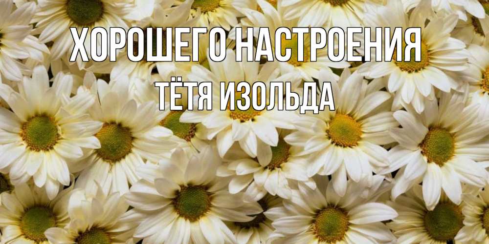 Открытка на каждый день с именем, Тётя-Изольда Хорошего настроения крупные ромашки Прикольная открытка с пожеланием онлайн скачать бесплатно 