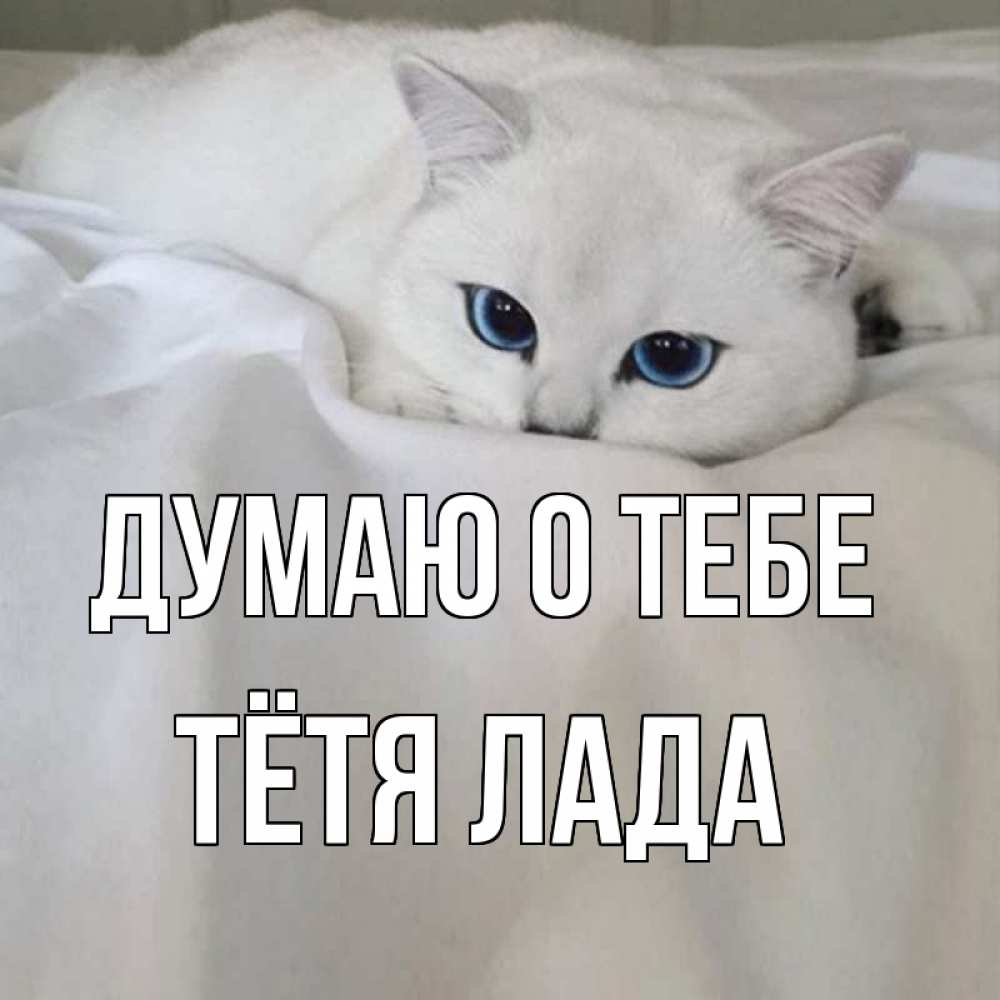 Открытка на каждый день с именем, Тётя-Лада Думаю о тебе я очень по тебе скучаю и тоскую Прикольная открытка с пожеланием онлайн скачать бесплатно 