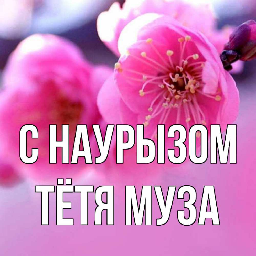 Открытка на каждый день с именем, Тётя-Муза С наурызом международный женский день Прикольная открытка с пожеланием онлайн скачать бесплатно 