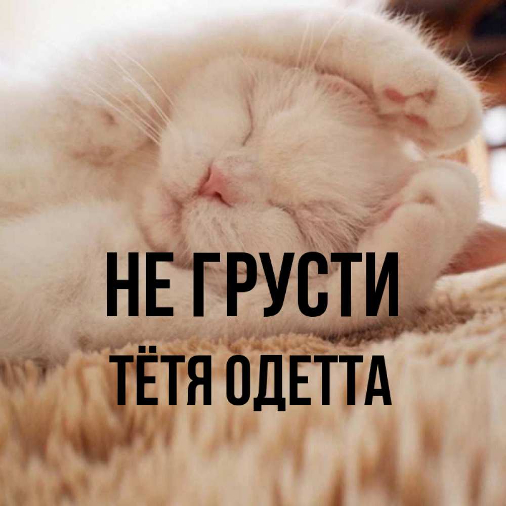 Открытка на каждый день с именем, Тётя-Одетта Не грусти Котенок спит Прикольная открытка с пожеланием онлайн скачать бесплатно 