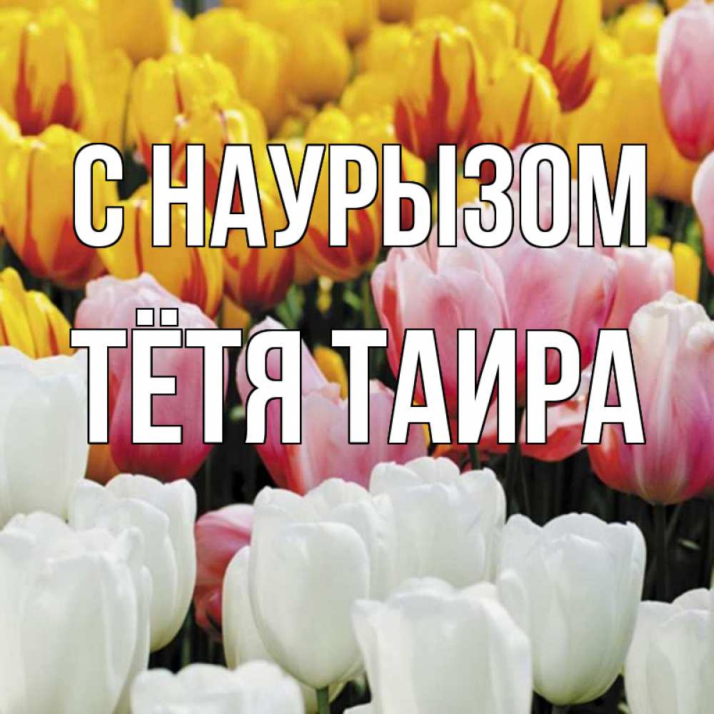 Открытка на каждый день с именем, Тётя-Таира С наурызом разноцветные цветы Прикольная открытка с пожеланием онлайн скачать бесплатно 
