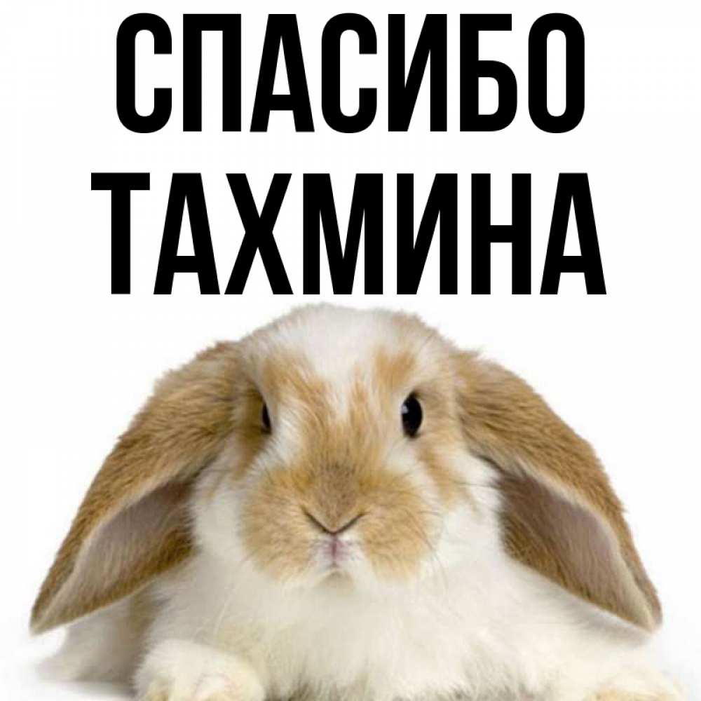 С днем рождения тахмина картинки