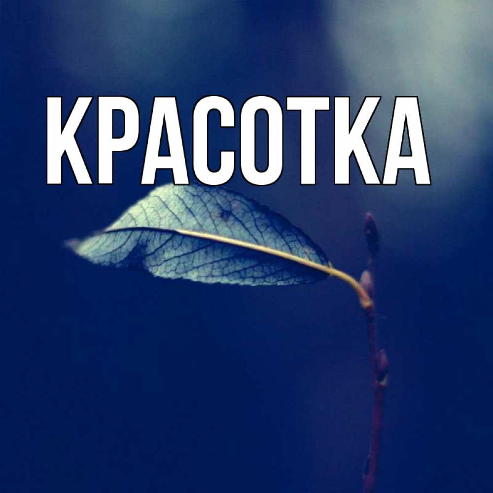 Открытка на каждый день с именем, красотка Главная растение Прикольная открытка с пожеланием онлайн скачать бесплатно 