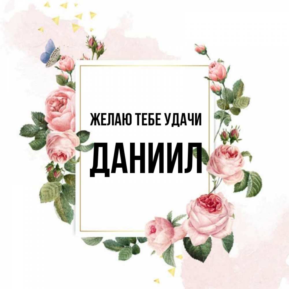 Открытка на каждый день с именем, Даниил Желаю тебе удачи розовые розы Прикольная открытка с пожеланием онлайн скачать бесплатно 