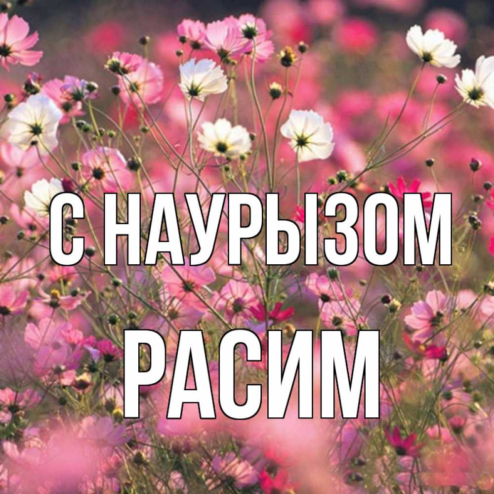 Открытка на каждый день с именем, Расим С наурызом красиво 1 Прикольная открытка с пожеланием онлайн скачать бесплатно 