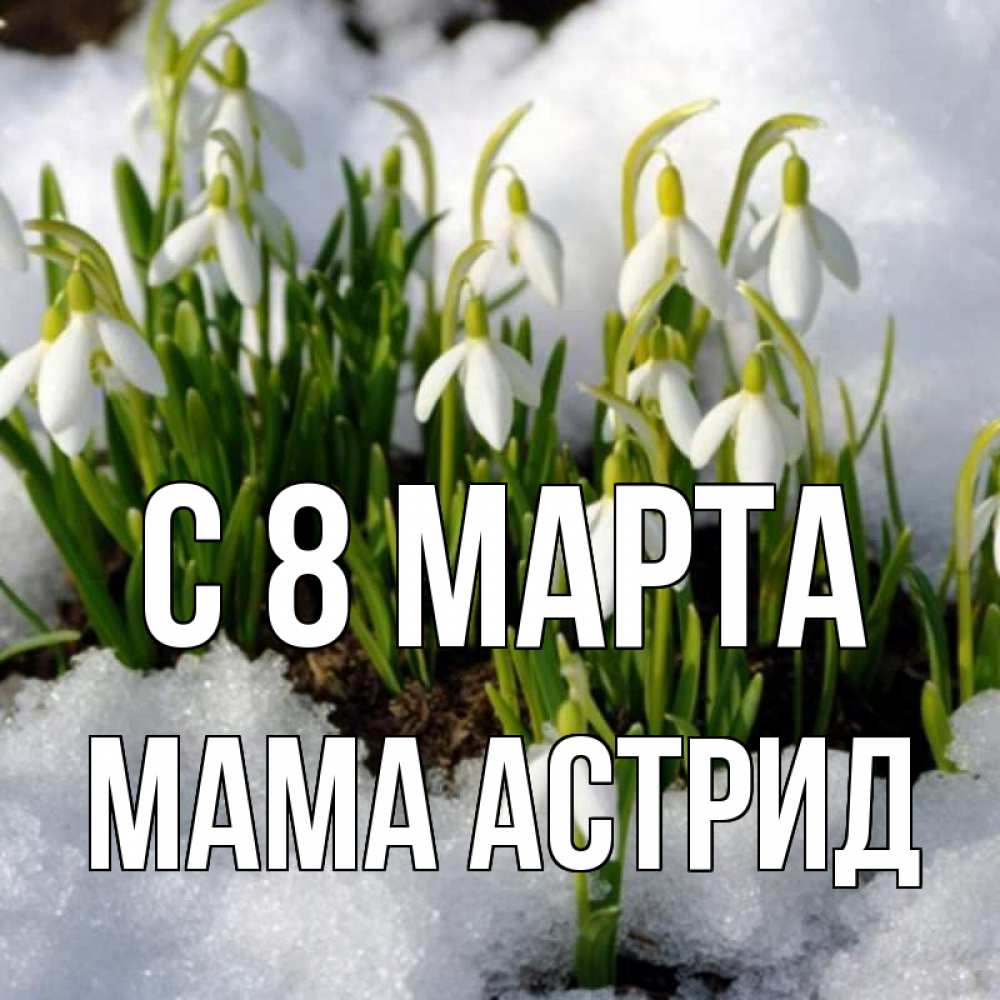 Открытка на каждый день с именем, Мама-Астрид С 8 марта цветы весенние Прикольная открытка с пожеланием онлайн скачать бесплатно 
