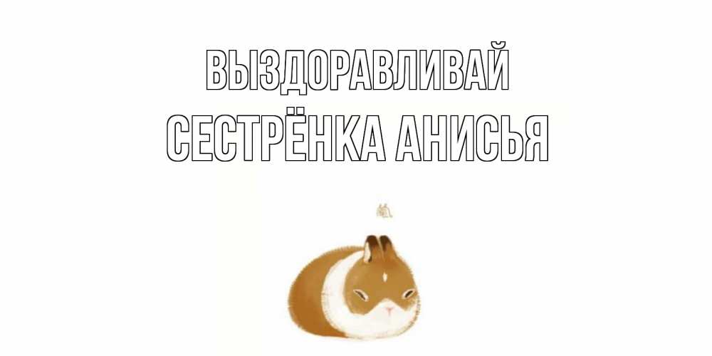 Открытка на каждый день с именем, Сестрёнка-Анисья Выздоравливай морская свинка на открытке с пожеланиями не болеть Прикольная открытка с пожеланием онлайн скачать бесплатно 
