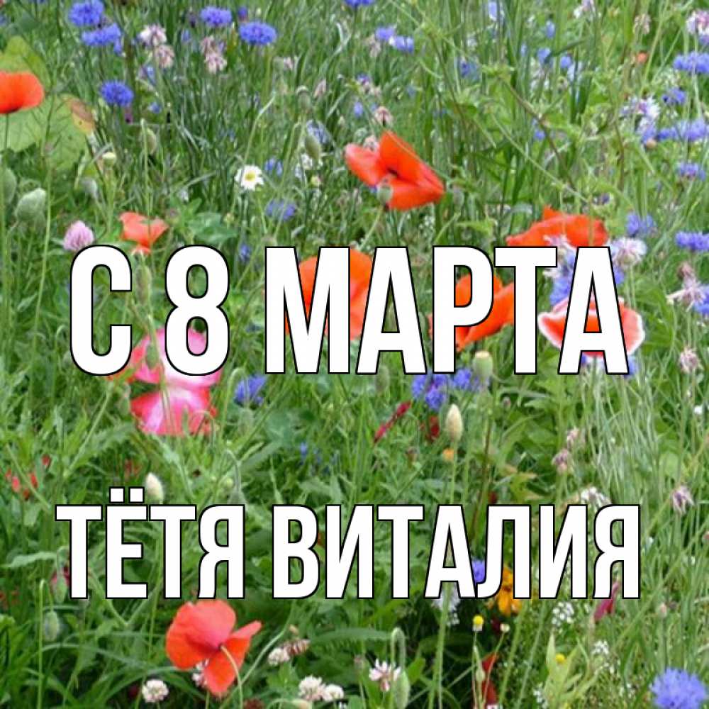 Открытка на каждый день с именем, Тётя-Виталия С 8 марта международный женский день 4 Прикольная открытка с пожеланием онлайн скачать бесплатно 