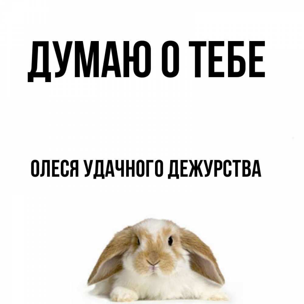 Удачного дежурства картинки