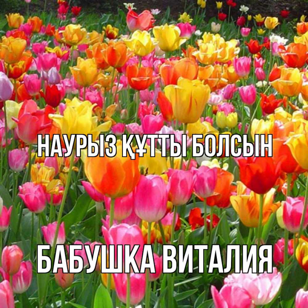 Открытка на каждый день с именем, Бабушка-Виталия Наурыз құтты болсын на наурыз  ура ура Прикольная открытка с пожеланием онлайн скачать бесплатно 