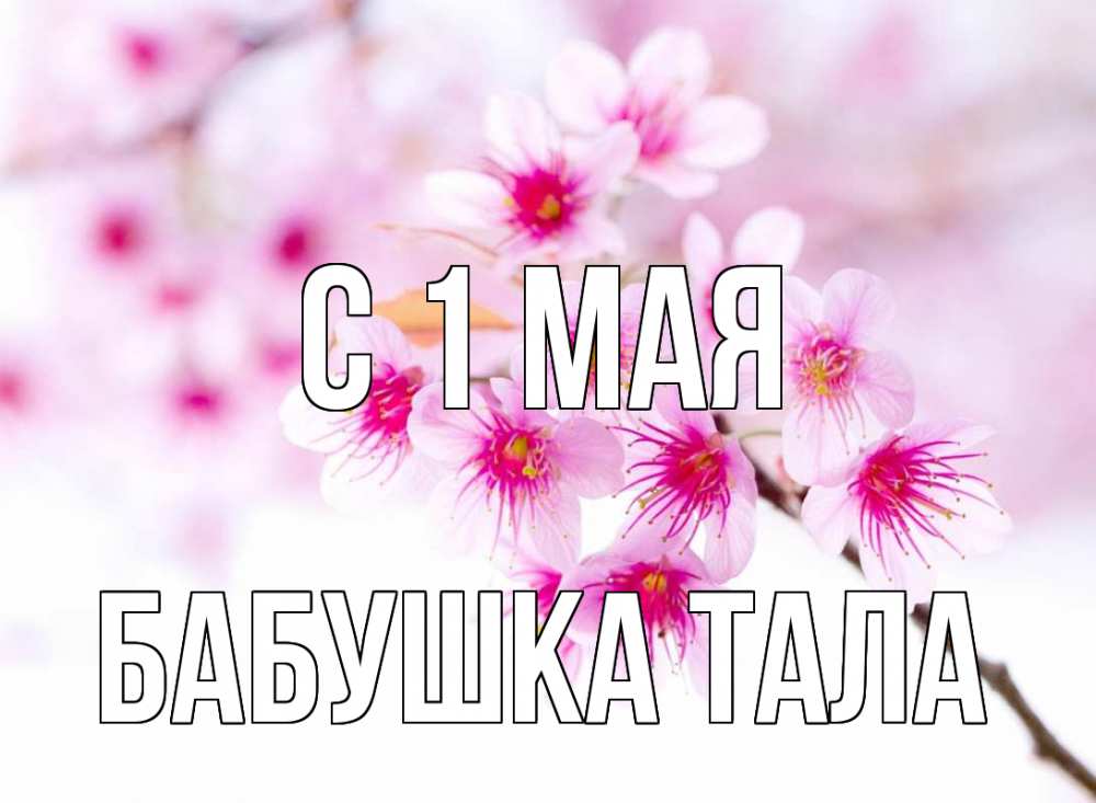 Открытка на каждый день с именем, Бабушка-Тала С 1 мая С 1 мая 2 Прикольная открытка с пожеланием онлайн скачать бесплатно 