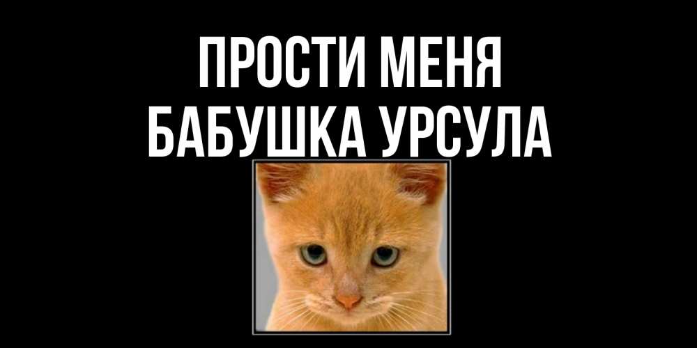 Открытка на каждый день с именем, Бабушка-Урсула Прости меня рыжий грустный кот просит прощения Прикольная открытка с пожеланием онлайн скачать бесплатно 