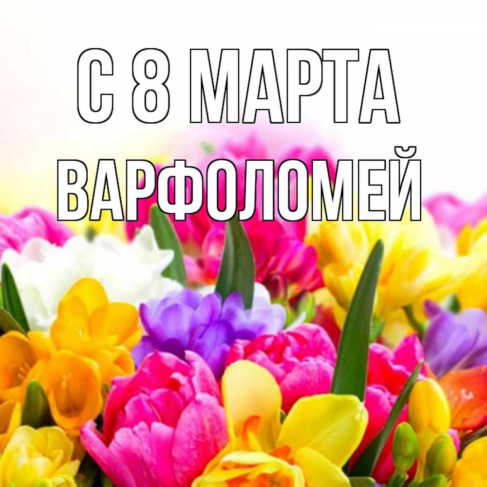 Открытка на каждый день с именем, Варфоломей С 8 МАРТА тюльпаны Прикольная открытка с пожеланием онлайн скачать бесплатно 
