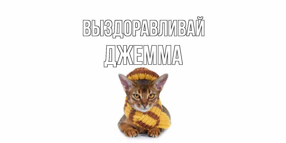 Открытка на каждый день с именем, Джемма Выздоравливай родные не болейте Прикольная открытка с пожеланием онлайн скачать бесплатно 