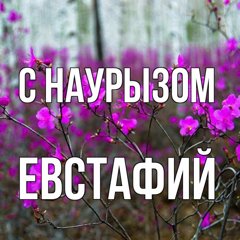 Открытка на каждый день с именем, Евстафий С наурызом дикие цветы Прикольная открытка с пожеланием онлайн скачать бесплатно 