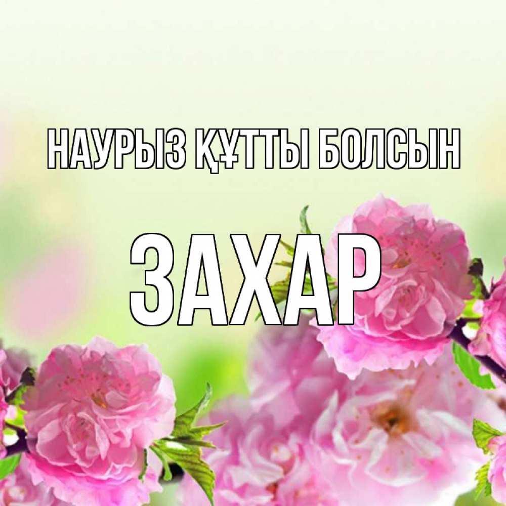 Открытка на каждый день с именем, Захар Наурыз құтты болсын цветы Прикольная открытка с пожеланием онлайн скачать бесплатно 