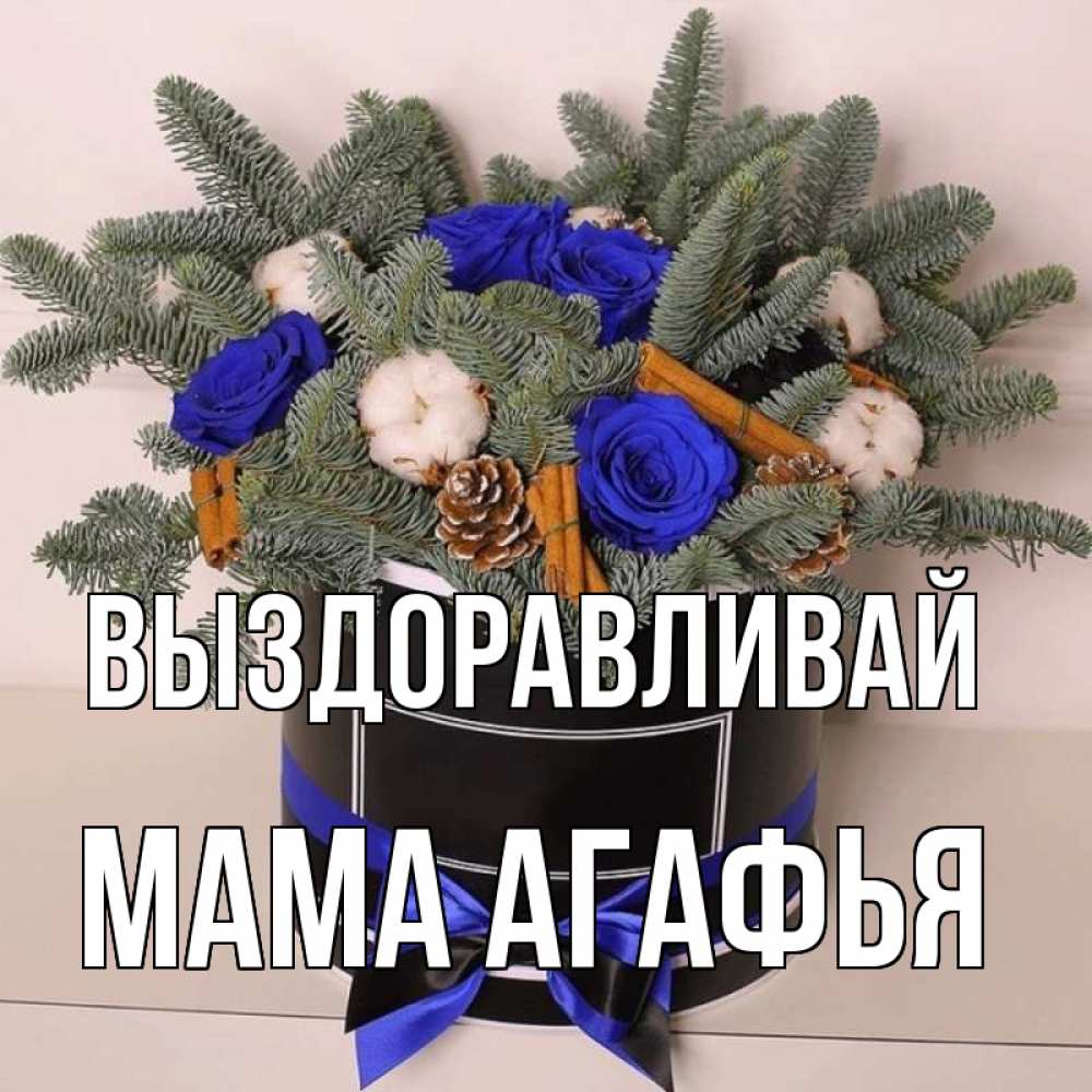 Открытка на каждый день с именем, Мама-Агафья Выздоравливай короче кто то загрузил эти шишки Прикольная открытка с пожеланием онлайн скачать бесплатно 