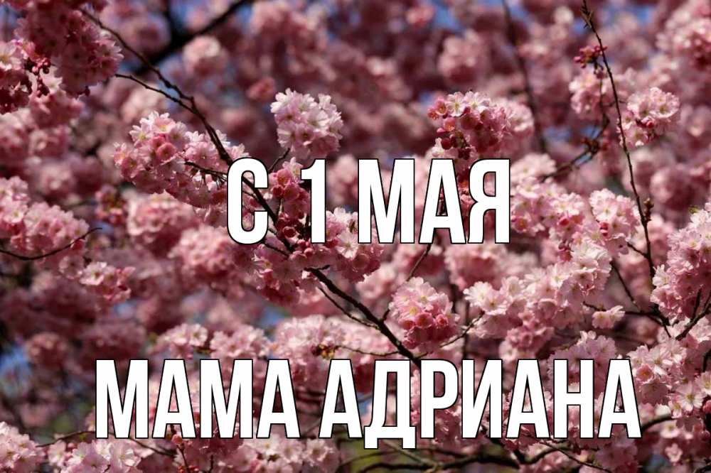 Открытка на каждый день с именем, Мама-Адриана С 1 мая С 1 мая Прикольная открытка с пожеланием онлайн скачать бесплатно 